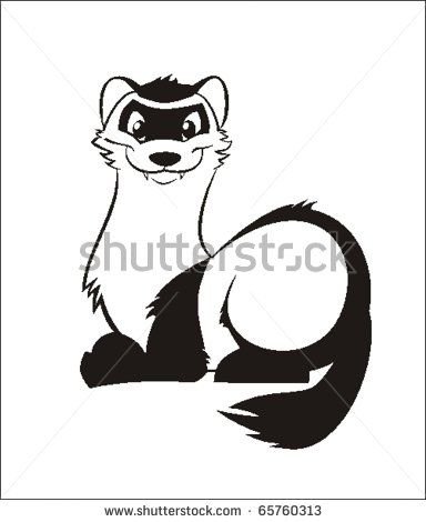 Хорек вектор