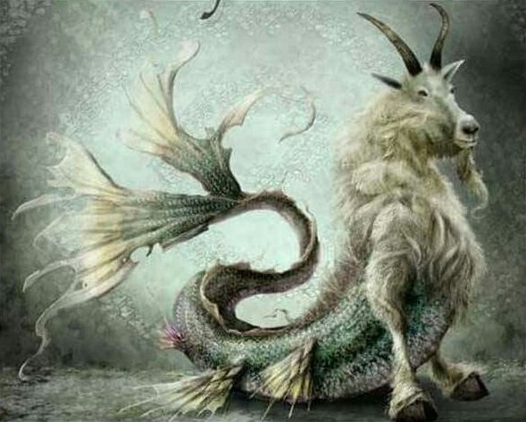 Дэймон Хилленбранд