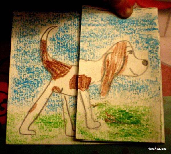 Самодельная книжка раскладушка