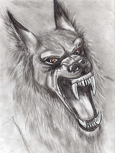 Собака крипи крипипаста