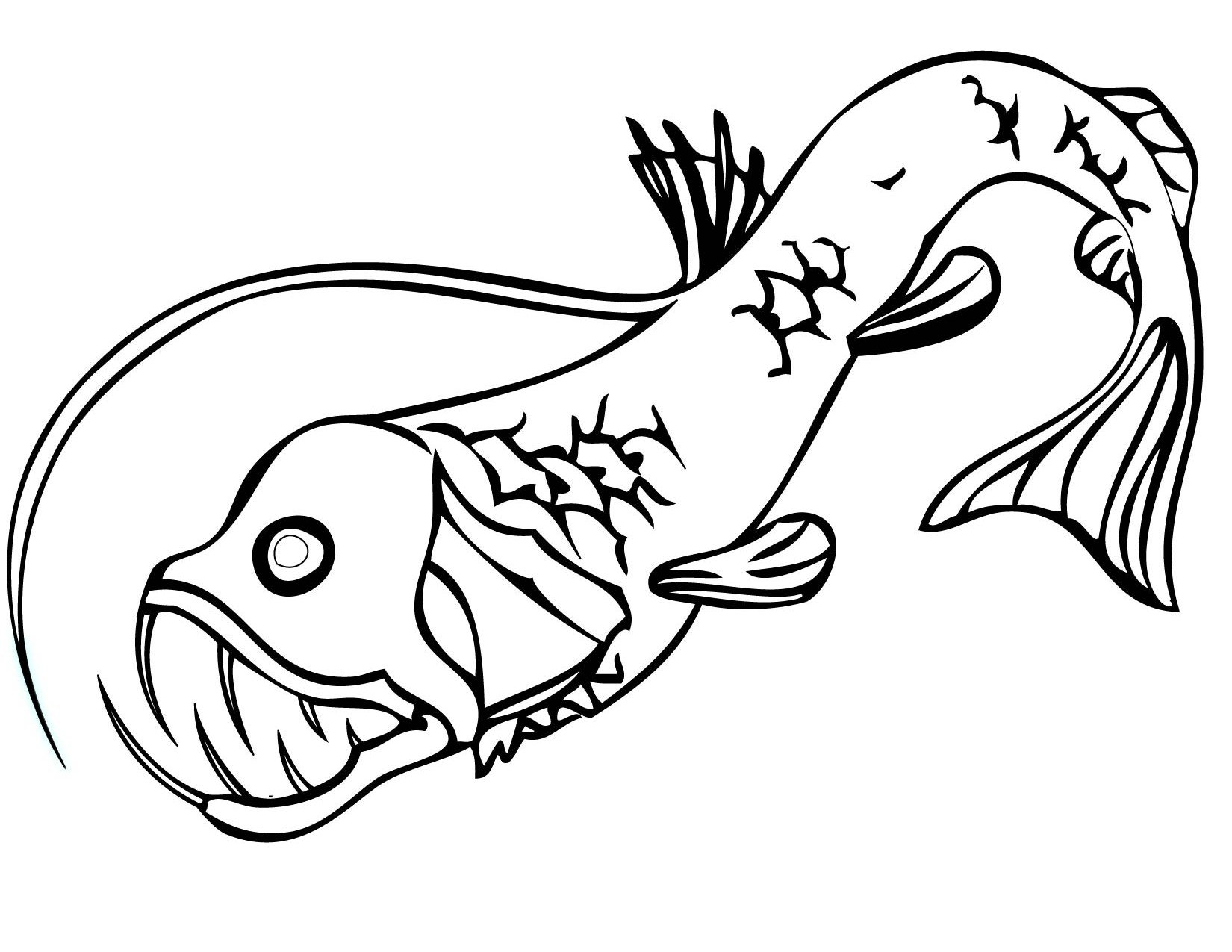 Раскраска Хищные рыбы