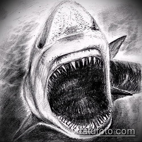 Тату пасть акулы эскизы
