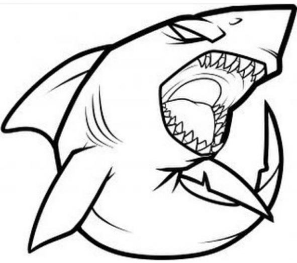 Пасть акулы МЕГАЛОДОН