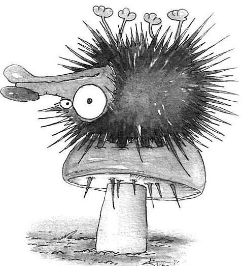 Ежик рисованный прикольный