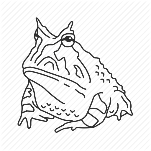 Лягушка бык раскраска