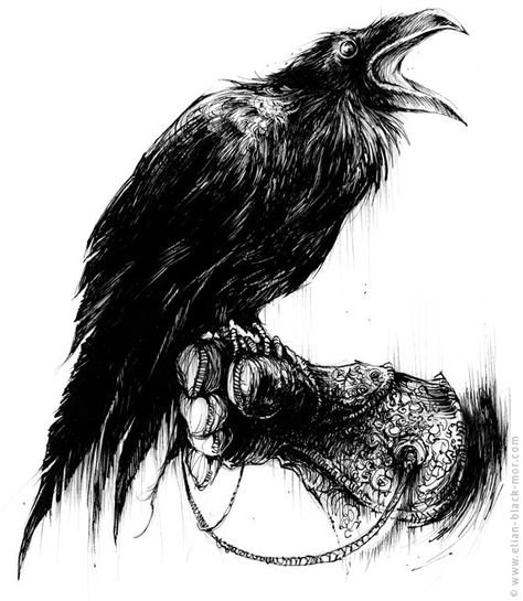 Ворон эскиз