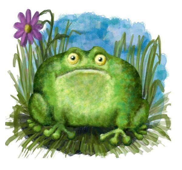 Жаба торопыга