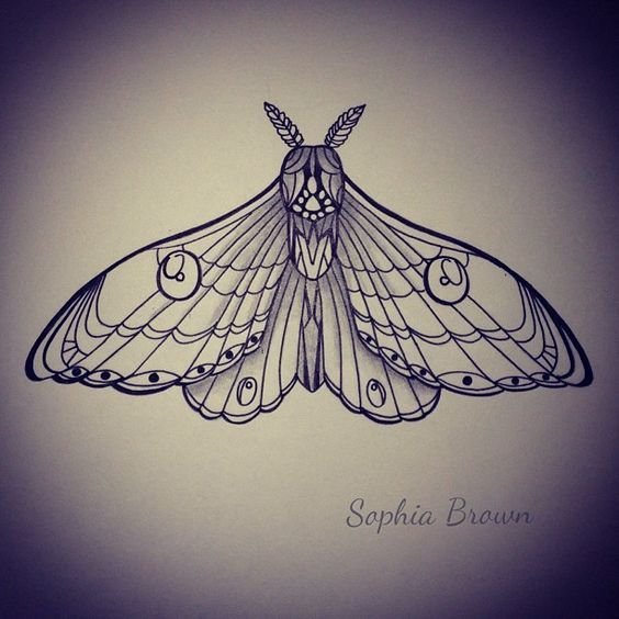 Бражник эскиз