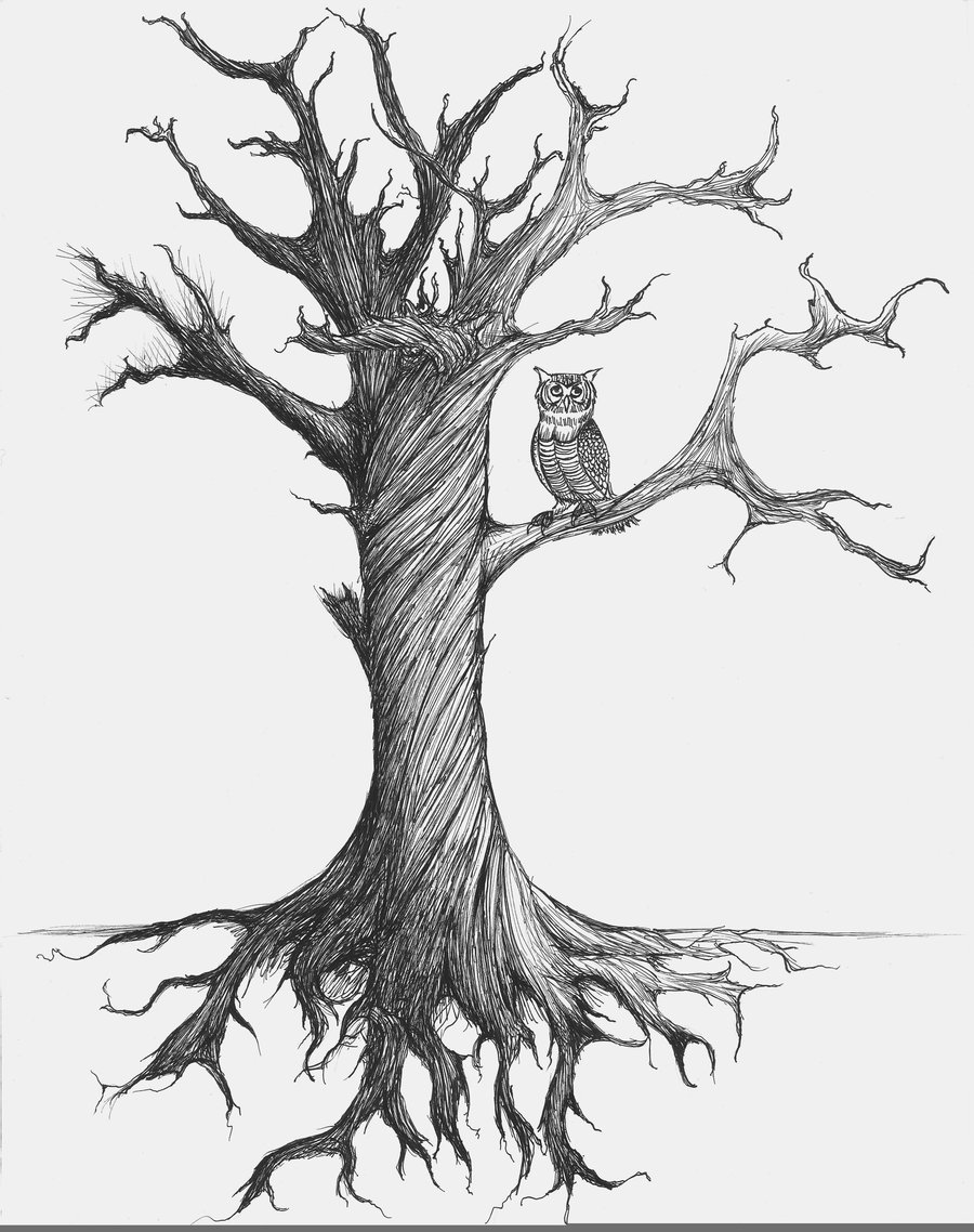 Стилизованные корни деревьев