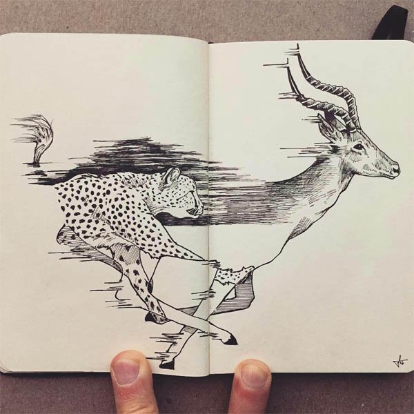 Керби Розанес метаморфозы