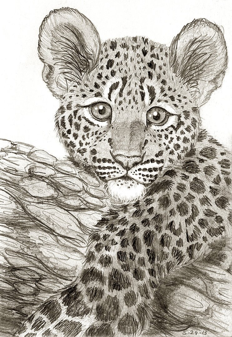 Рисование леопарда для детей