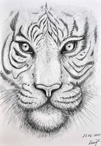 Рисунки животных сложные карандашом