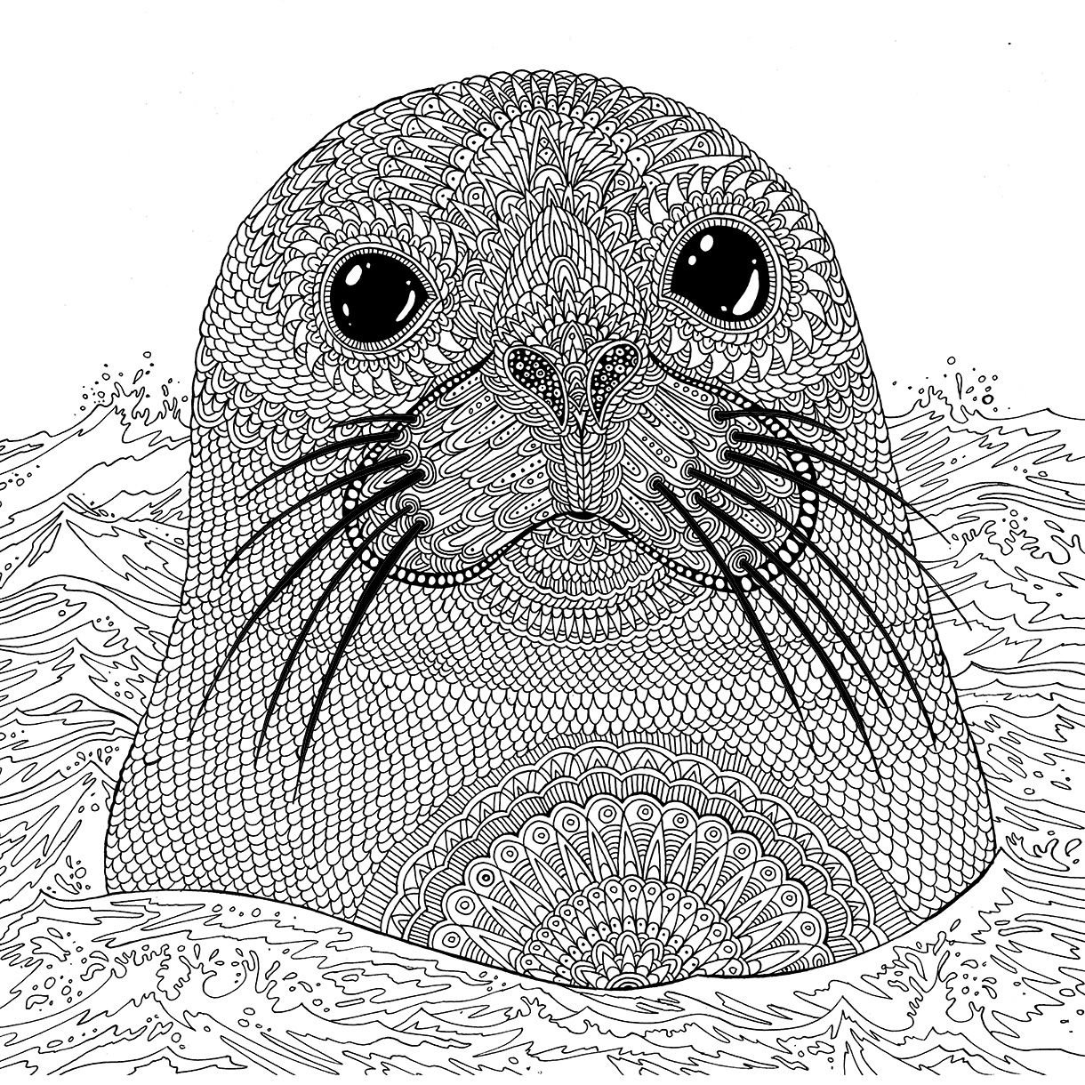 Сложные рисунки котик. Раскраска антистресс котики. Раскраска антистресс тюлень. Морской котик раскраска. Раскраски котики сложные.