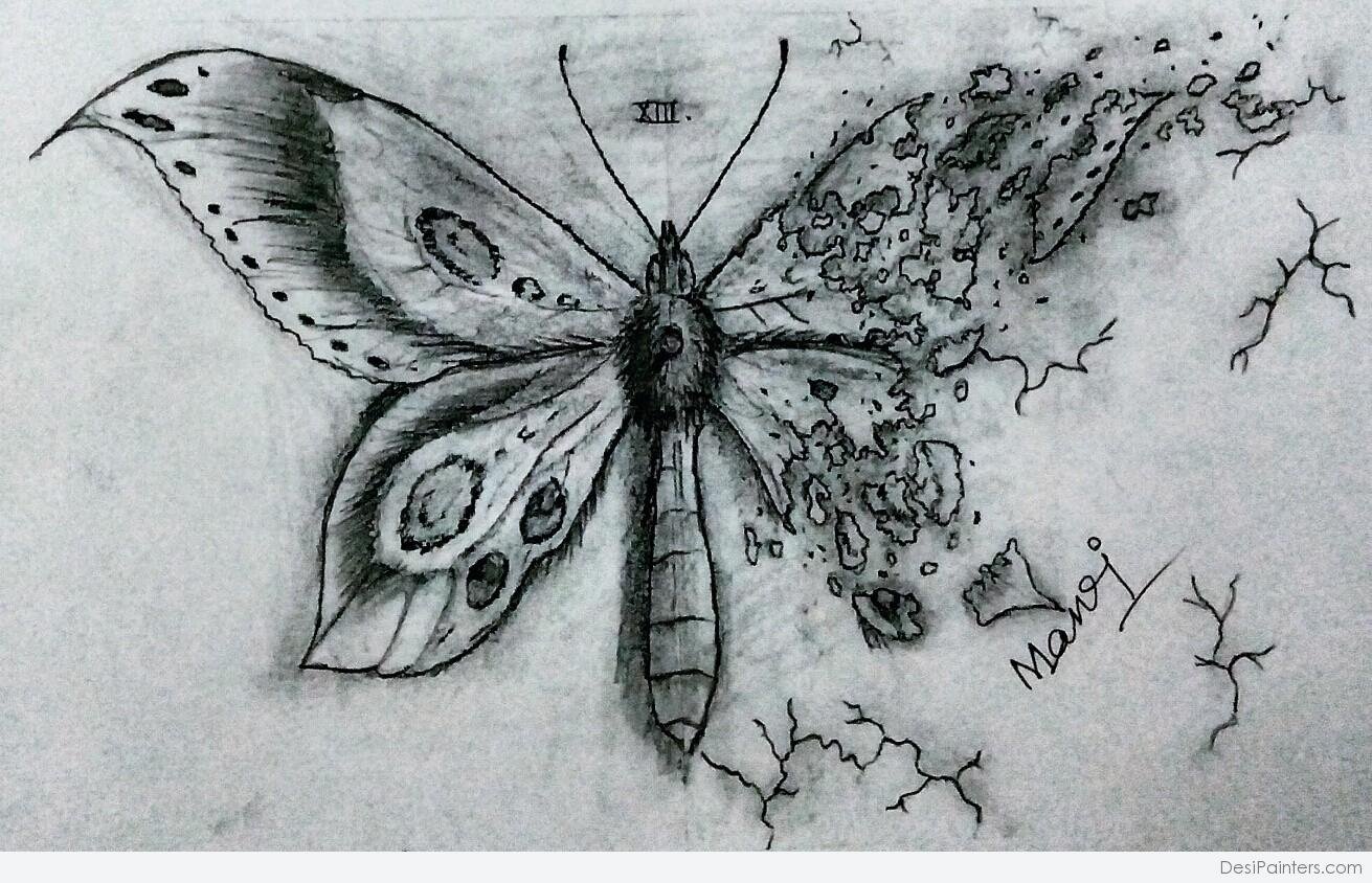 Бабочки карандашом необычные