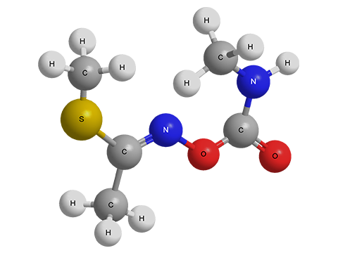 Кубан химия молекула