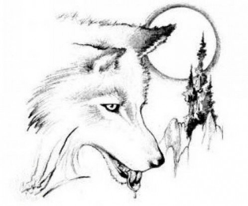 Волк рисунок карандашом тату