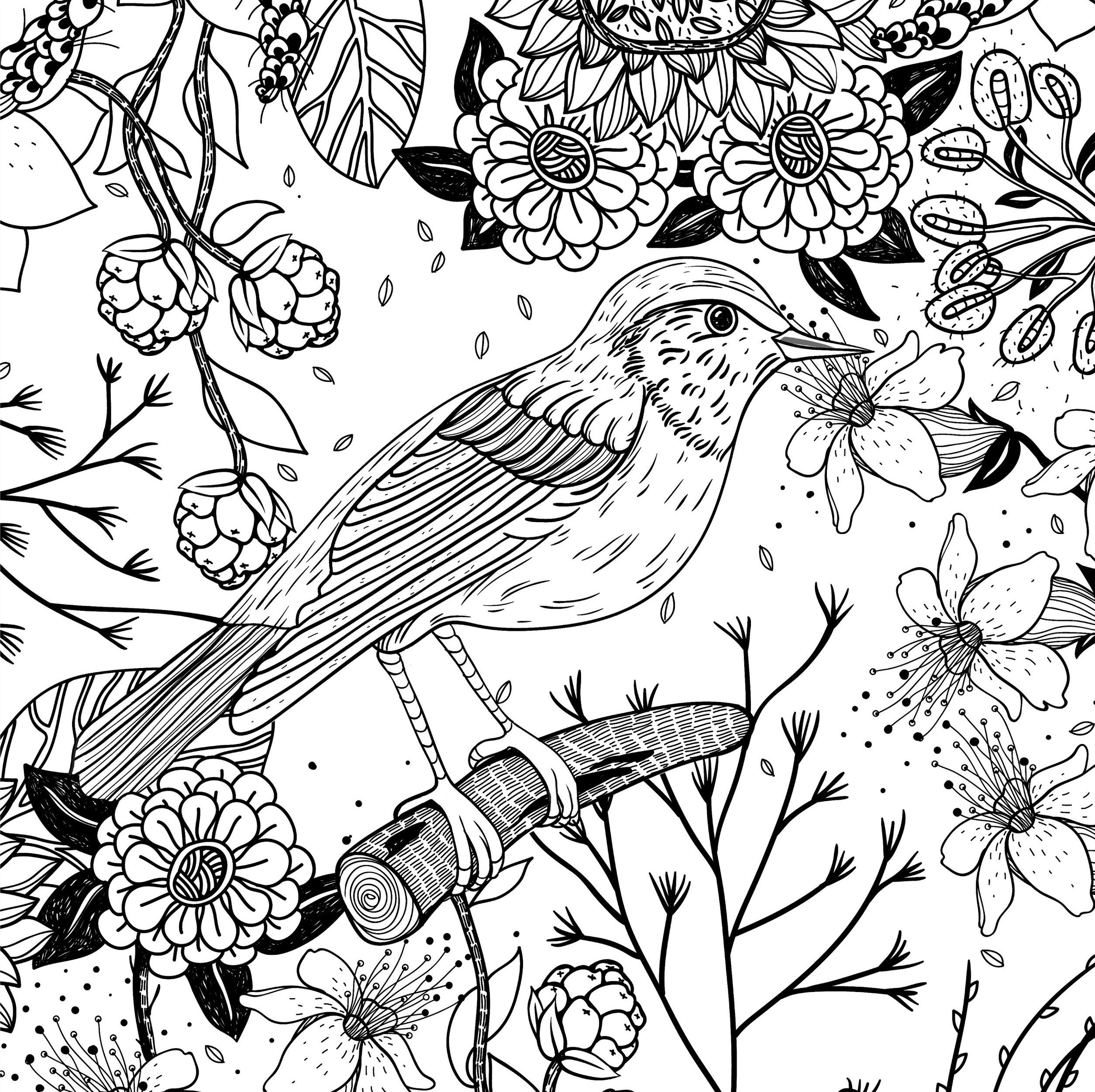 Раскраска цветы и птицы