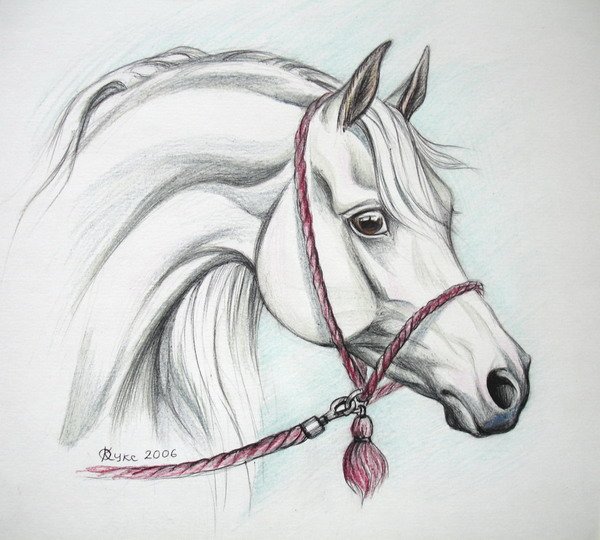 Рисунки лошадей для срисовки легкие