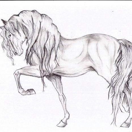 Нарисовать лошадь