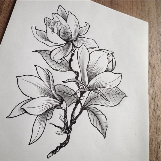 Магнолия випшейдинг тату