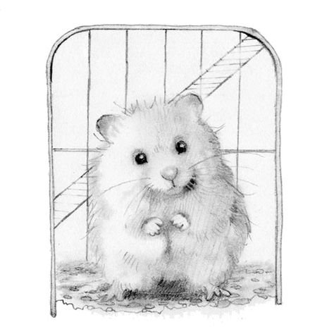 Рисунок хомяка джунгарика
