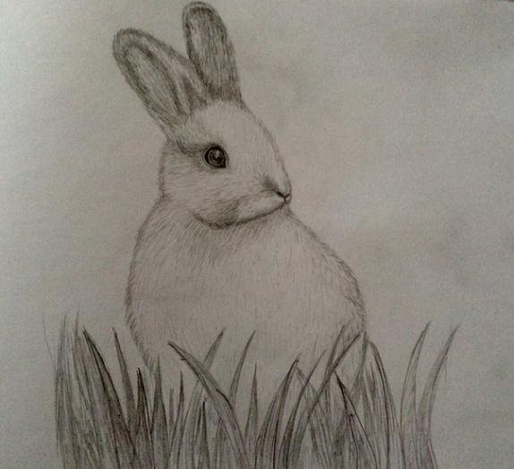 Портрет зайки карандашом