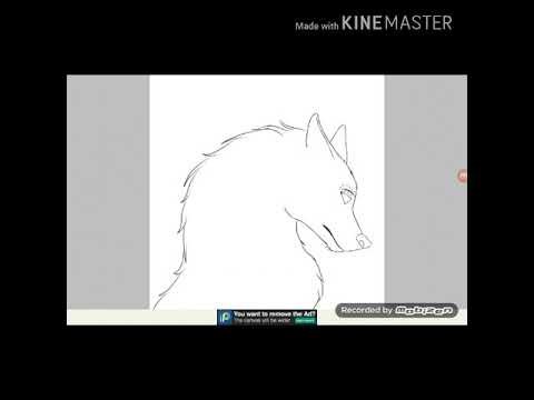 Ибис пейнт лайн