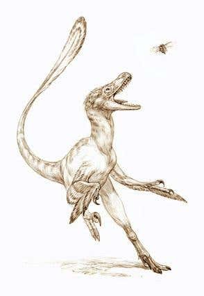 Попаданец в Велоцираптора