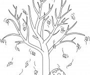 Дерево осень раскраска без листьев