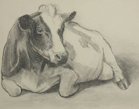 Корова скетч