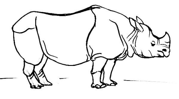 Носорог рисунок для детей карандашом