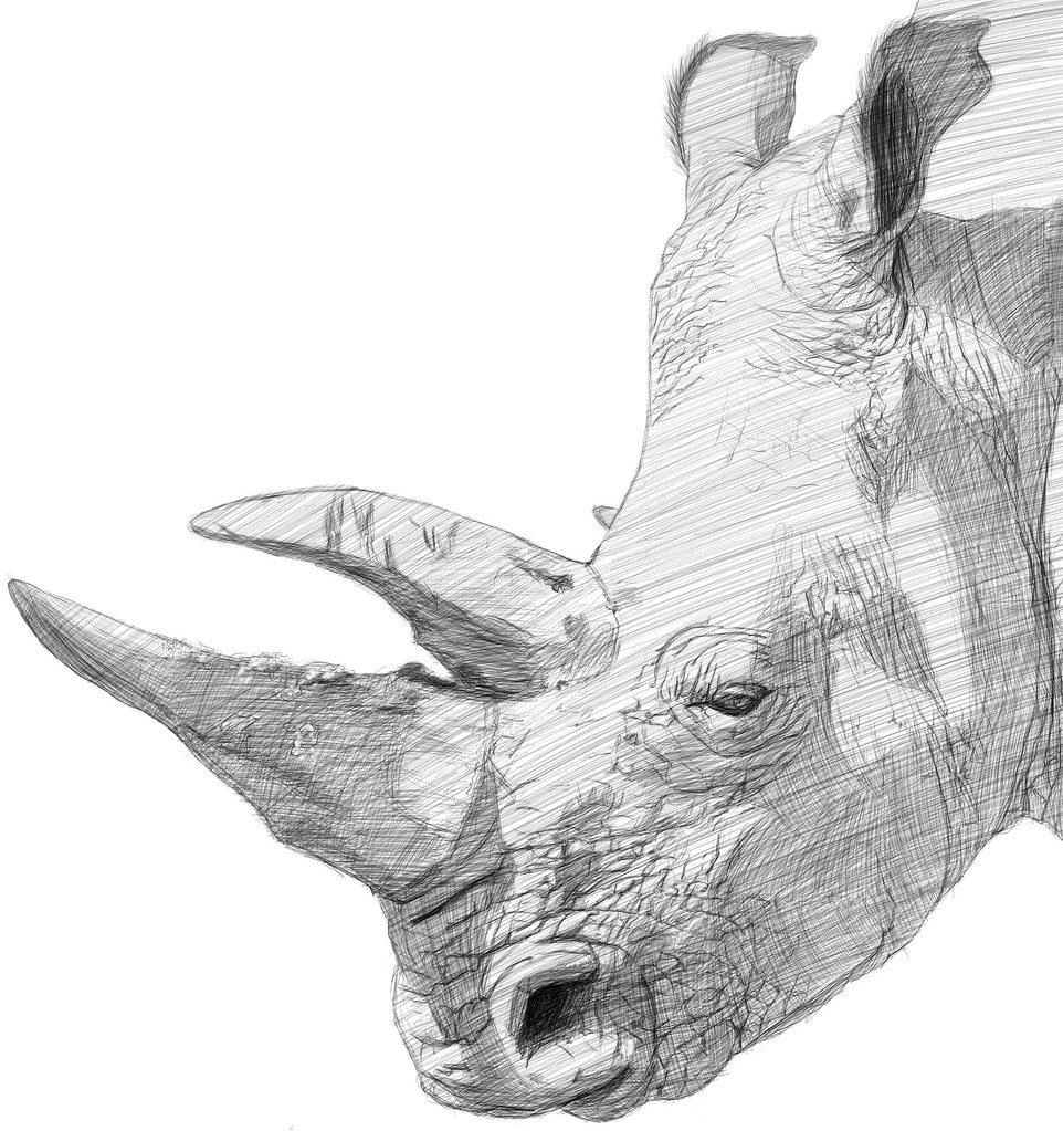 Носорог зарисовки