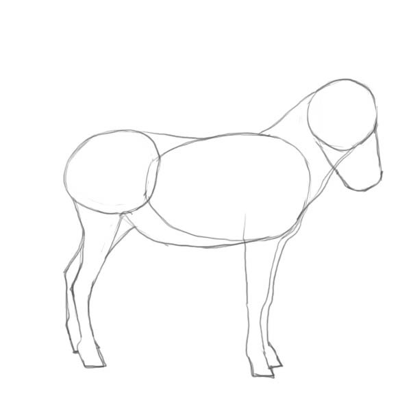 Ослик карандашом