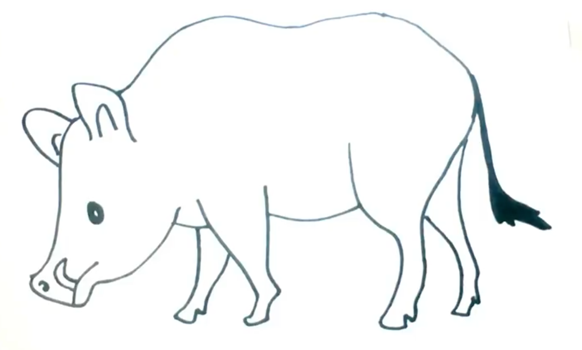 Поэтапное рисование кабана