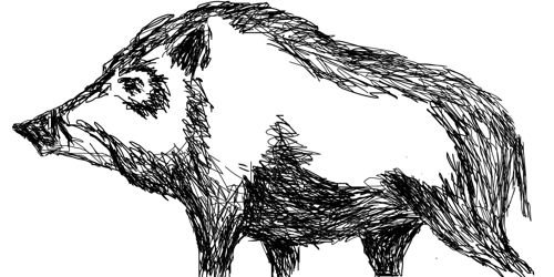 Кабан в профиль