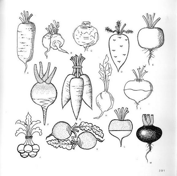 Графические овощи