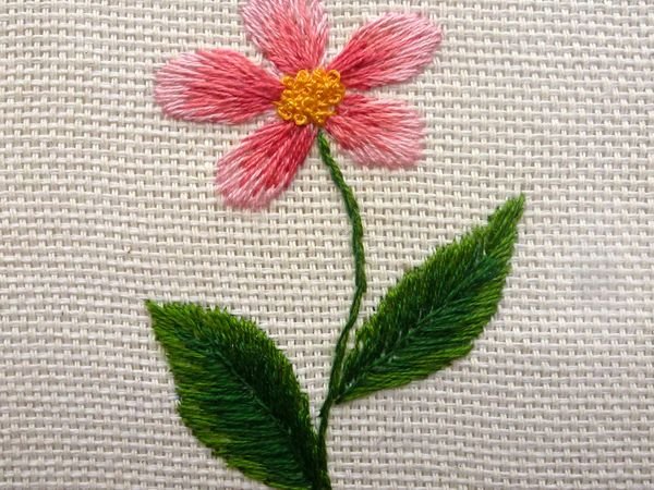 Вышивка петелчетым швом