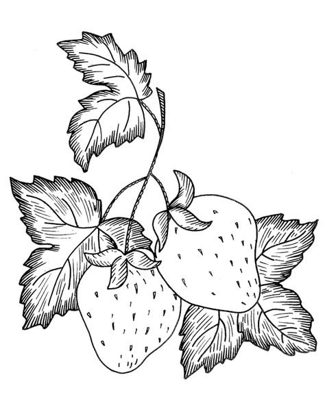 Рисунки для выжигания