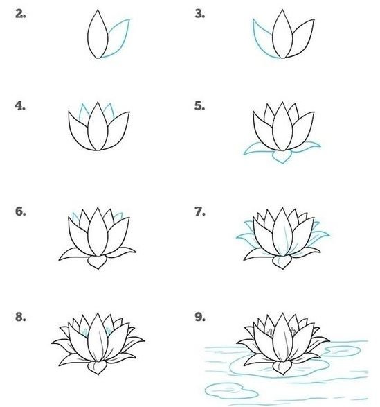 Схема рисования цветов
