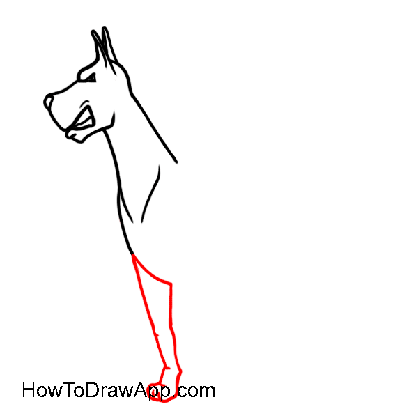 Доберман рисунок линиями