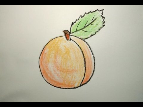 Персик карандашом