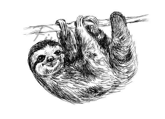 Ленивец скетч