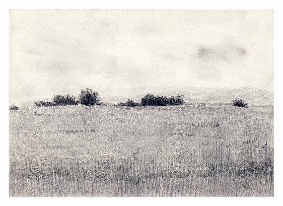 Степной пейзаж легкий