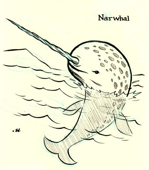 Нарвал рисунок цветными карандашами