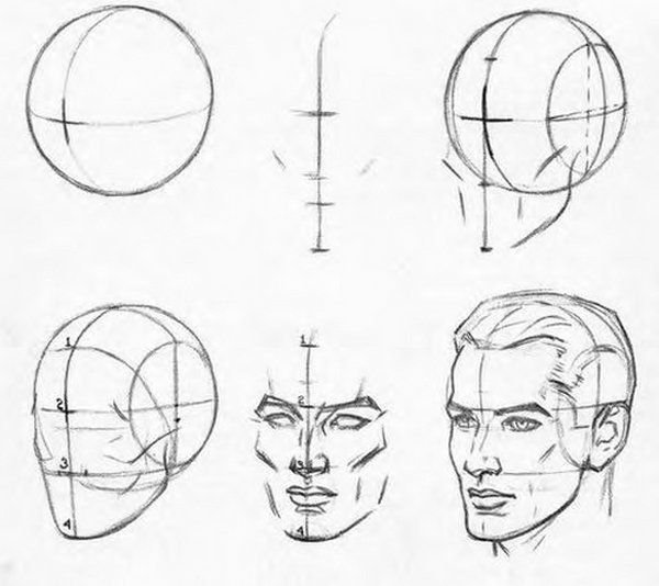 Эндрю Лумис рисование головы