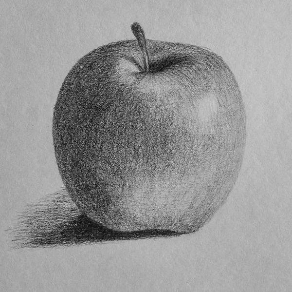 Натюрморт яблоко карандашом