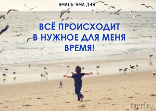 Амальгама дня