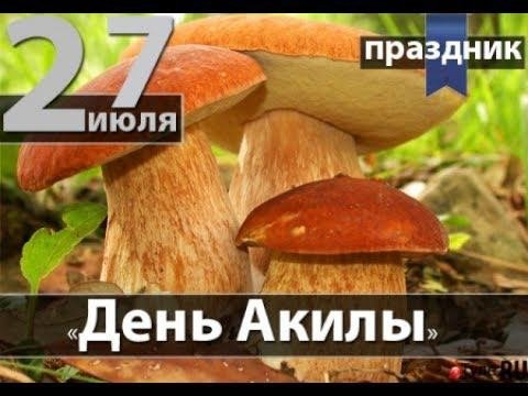 Открытки Акила дозоры