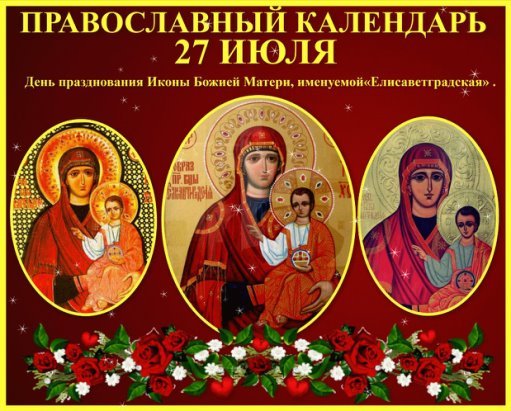 Бодяк полевой (Cirsium arvense)