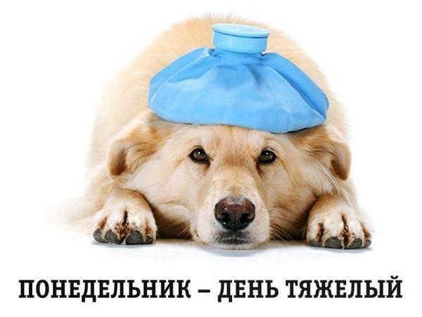 Понедельник день тяжелый